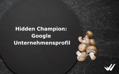 Hidden Champion: Google Unternehmensprofil